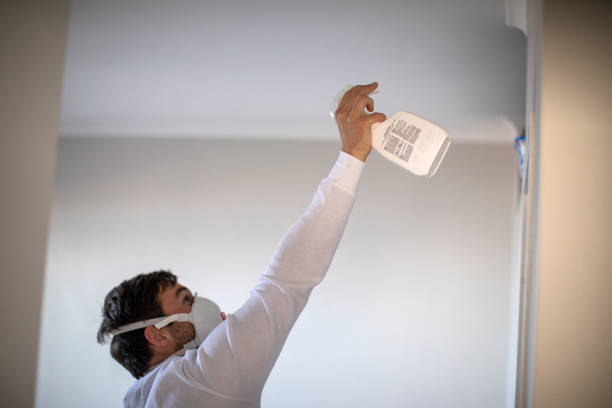 Best Residential Mold Removal  in Kings Mills, OH